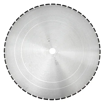 Алмазный диск DR SCHULZE BS-W H10 (700 мм)